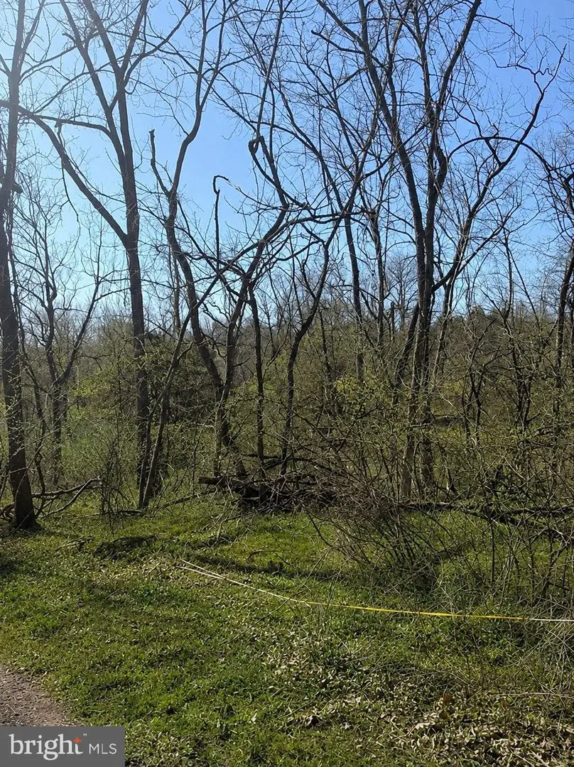 0 Harmony Ln, Jamison, PA 18929 - #2