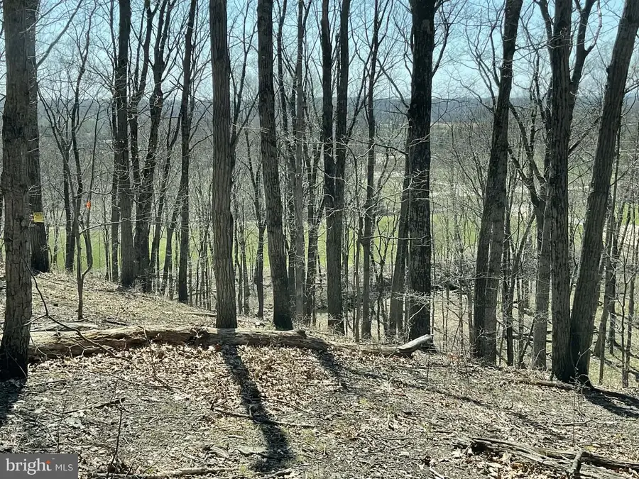 00 Lonely Rd, Sellersville, PA 18960 - #2