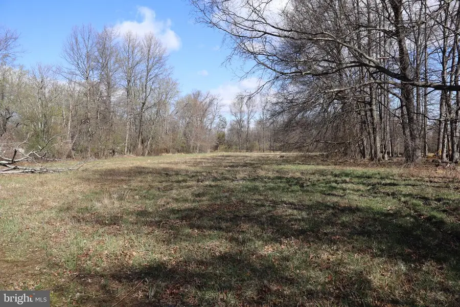 1603 Chestnut Ridge Rd, Upper Black Eddy, PA 18972 - #2