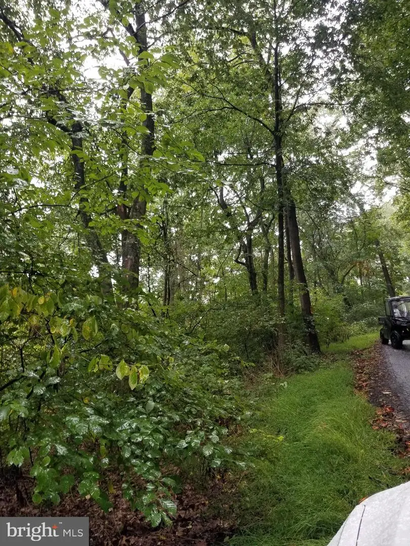Lot 094 Fireline Rd, Kintnersville, PA 18930 - #1