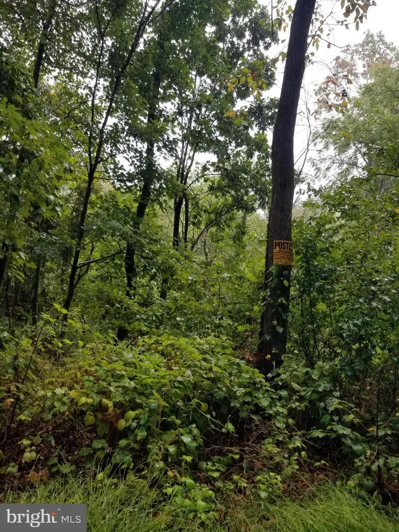 Lot 094 Fireline Rd, Kintnersville, PA 18930 - #2