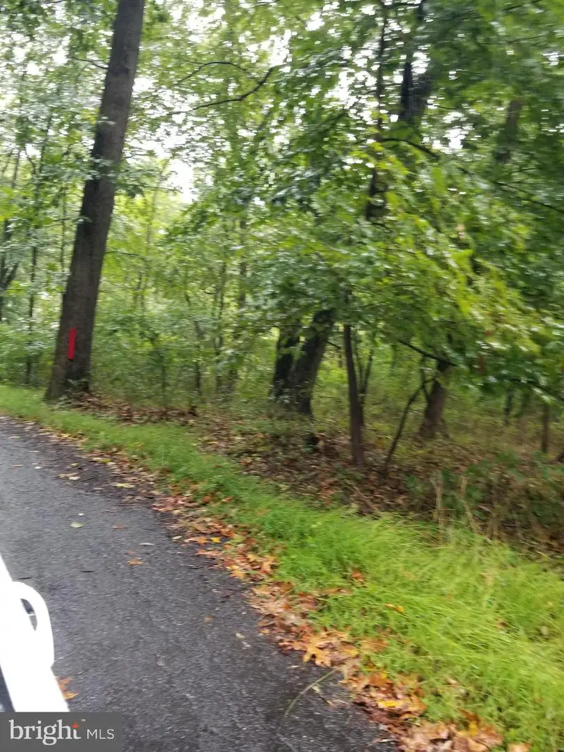 Lot 094 Fireline Rd, Kintnersville, PA 18930 - #3