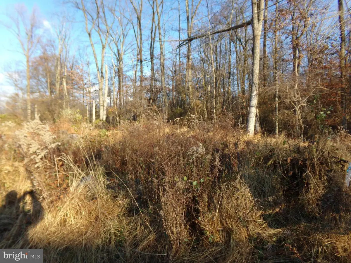 0 Center Hill Rd, Nockamixon, PA 18921 - #1
