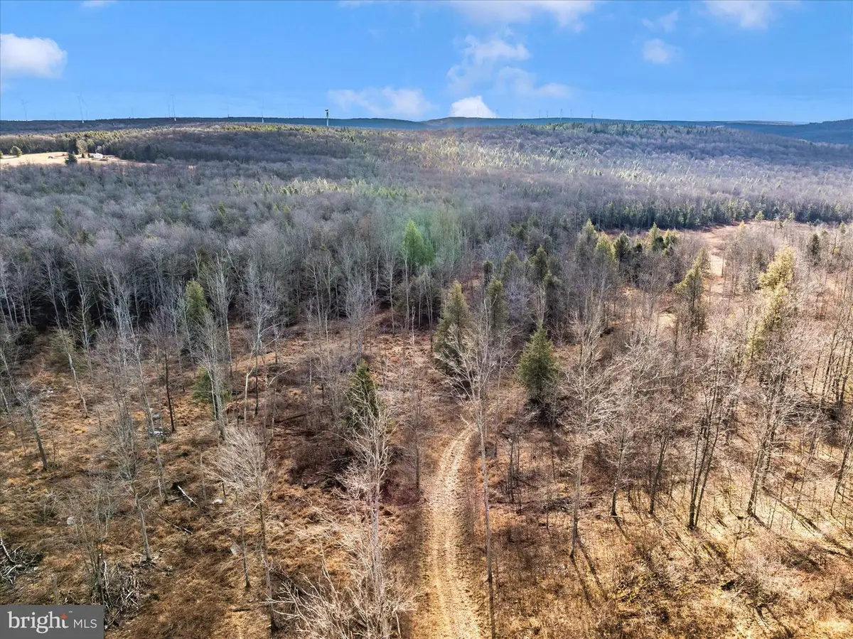 000 Mountain Road Lot 6, Lilly, PA 15938 - #1