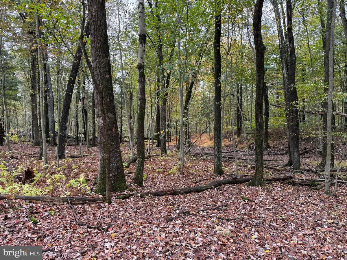E Locust St, Mount Holly Springs, PA 17065 - #1