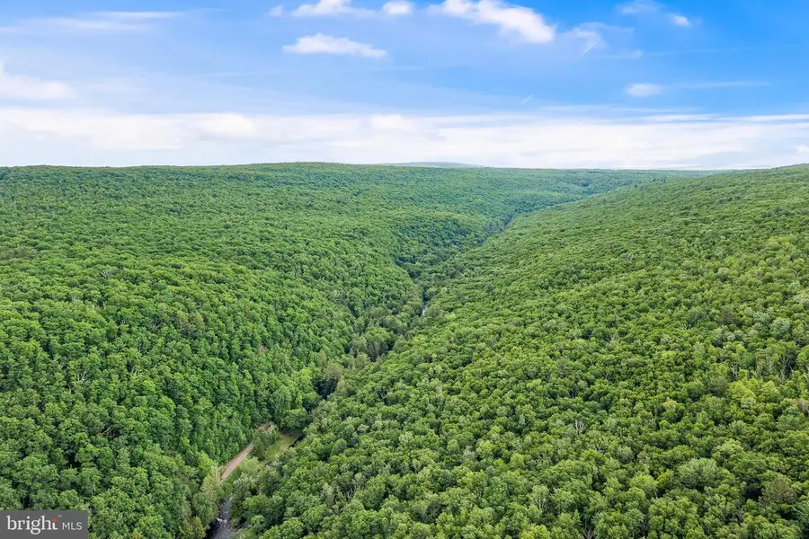 614 Graystones Jeras Rd Lot S-12, Albrightsville, PA 18210 - Image #2