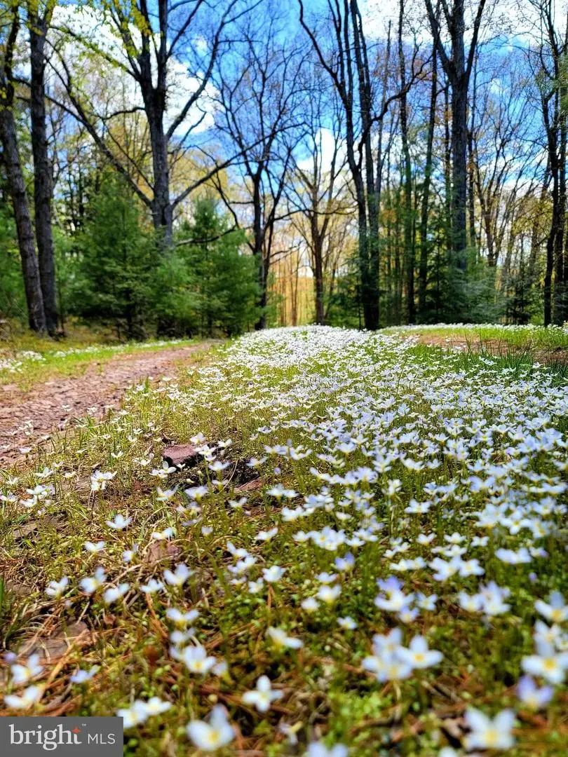 614 Graystones Jeras Rd Lot Av-2, Albrightsville, PA 18210 - #3