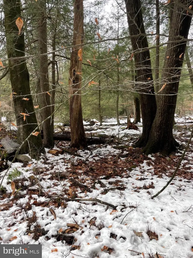 166 Lakeside Ln, Albrightsville, PA 18210 - #3