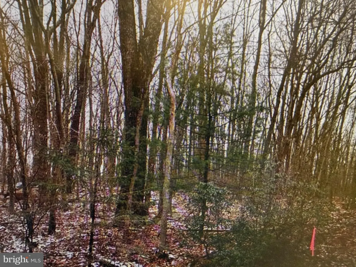 Black Bear Pass, White Haven, PA 18661 - #1