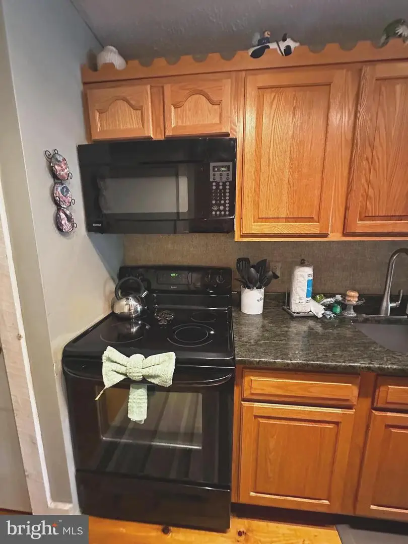 306 Snow Ridge Cir, Lake Harmony, PA 18624 - #2