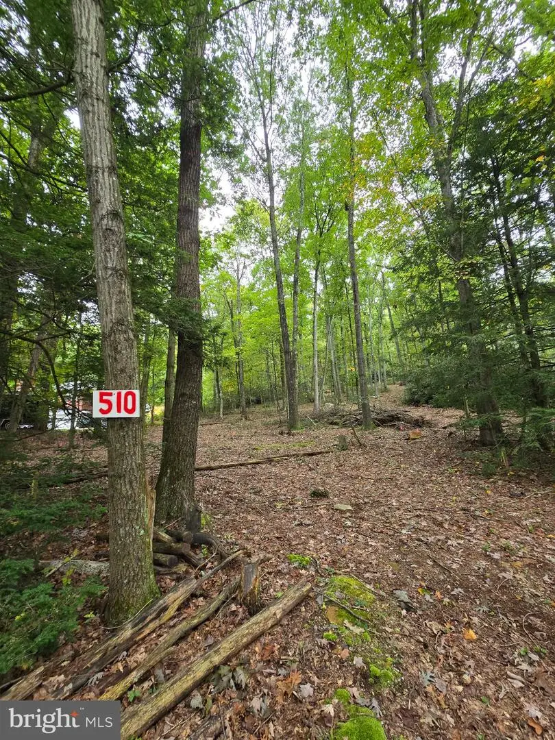 510 W White Bear Dr, Summit Hill, PA 18250 - #1