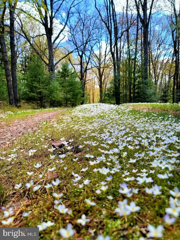 614 Graystones Jeras Rd Lot R-15, ALBRIGHTSVILLE, PA 18210