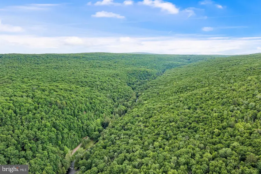 614 Graystones Jeras Rd Lot S-12, Albrightsville, PA 18210 - #2