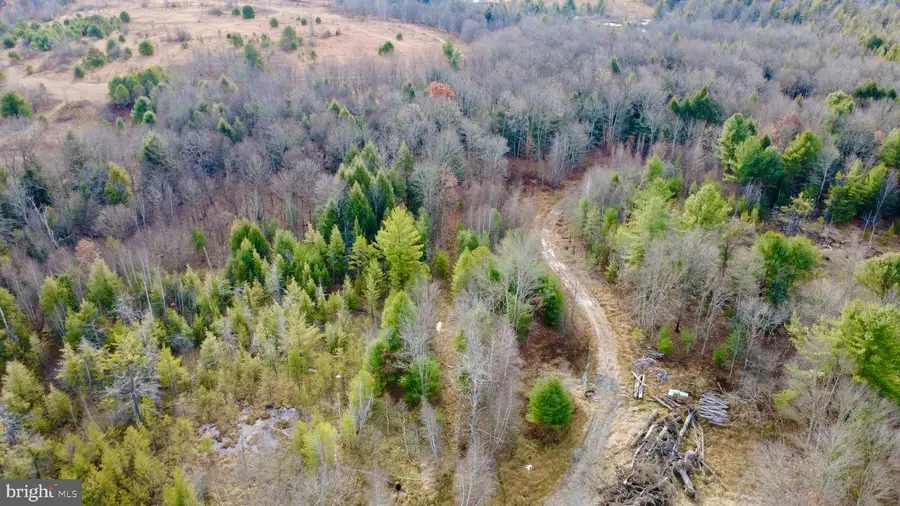 1042 Lower Hollow Rd, Morrisdale, PA 16858 - Image #3