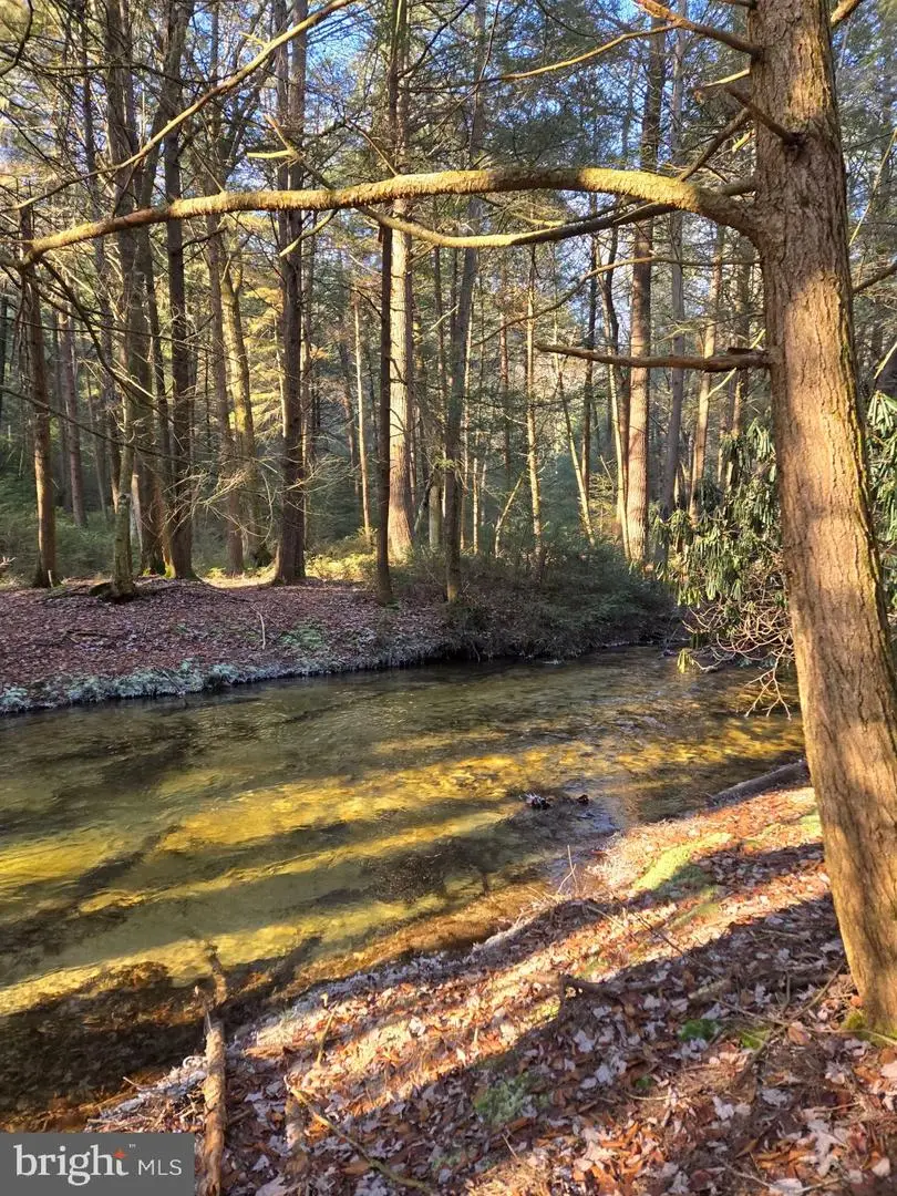 0 Sandy Creek, Frenchville, PA 16836 - Image #1