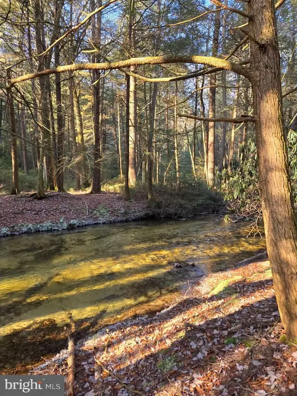 0 Sandy Creek, FRENCHVILLE, PA 16836