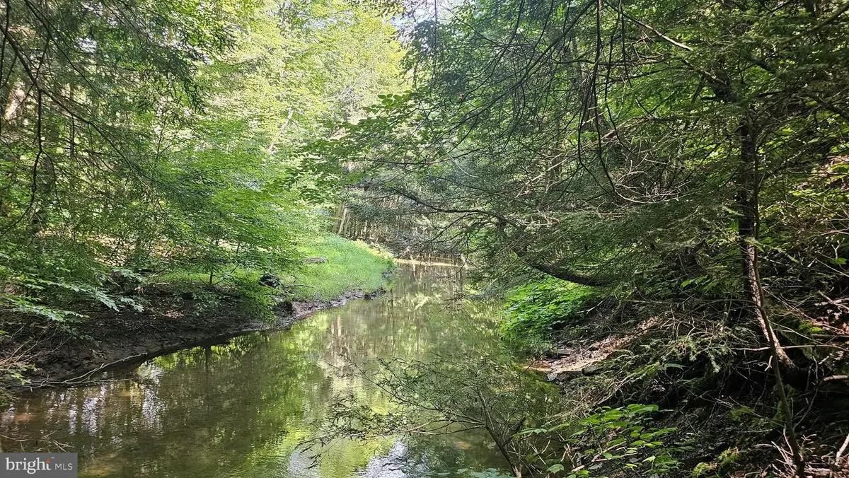 91.32 Acres Mahaffey Grampian Hwy, Mahaffey, PA 15757 - Image #1