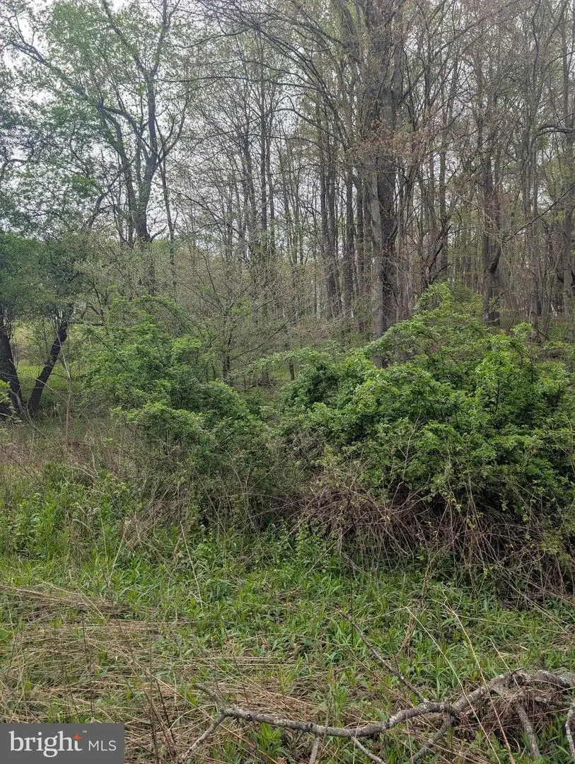 0 Petes Road, Osceola Mills, PA 16666 - #2