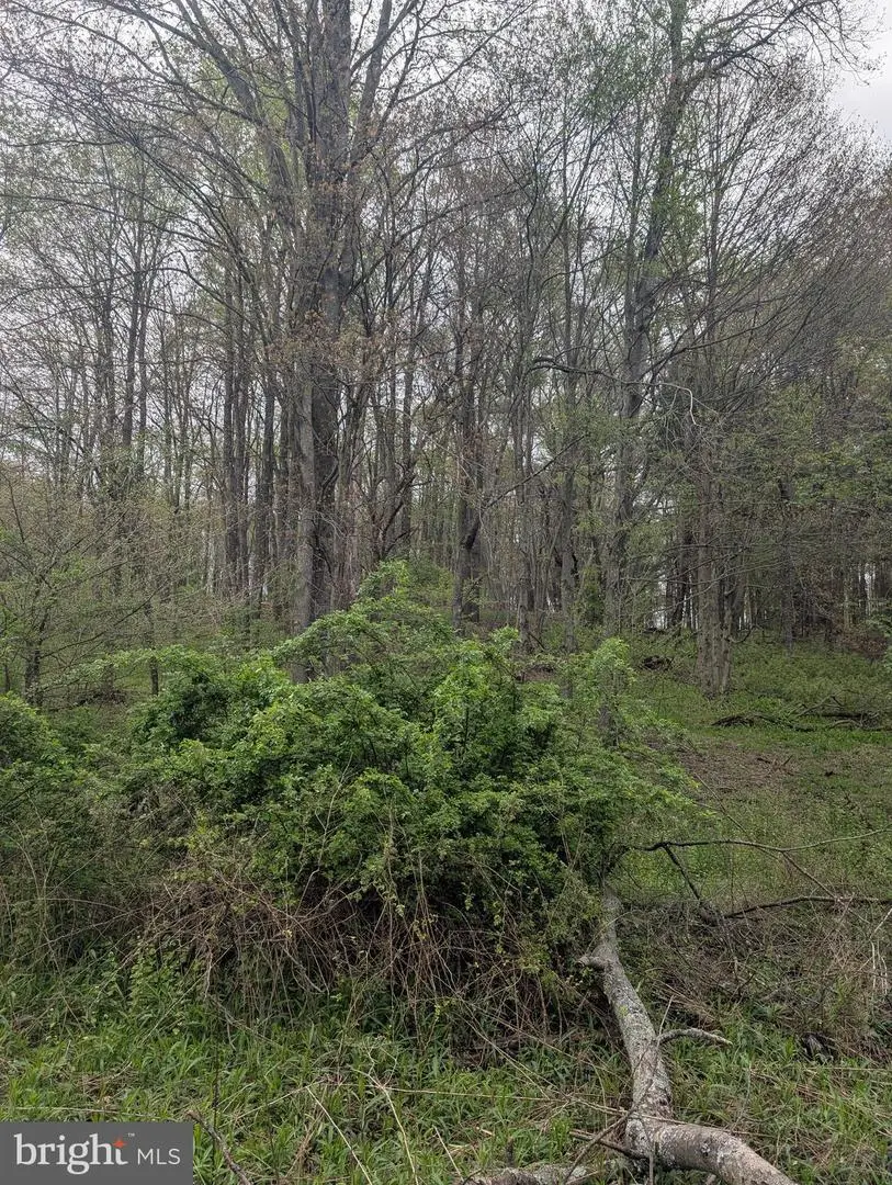 0 Petes Road, Osceola Mills, PA 16666 - #3