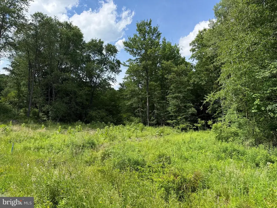 0 Frog Hollow Rd, Philipsburg, PA 16866 - #2