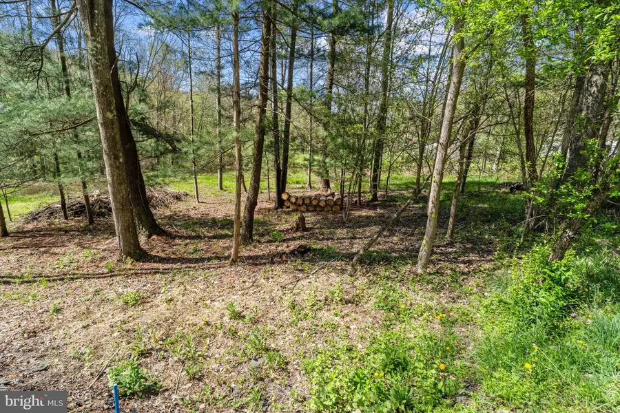 2490 Little Clearfield Creek Rd, Olanta, PA 16863 - #3
