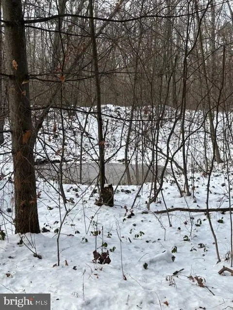 0 Little Wolf Rd, Clarence, PA 16829 - #1