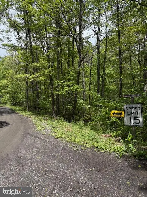0 Little Wolf Rd, Clarence, PA 16829 - #2