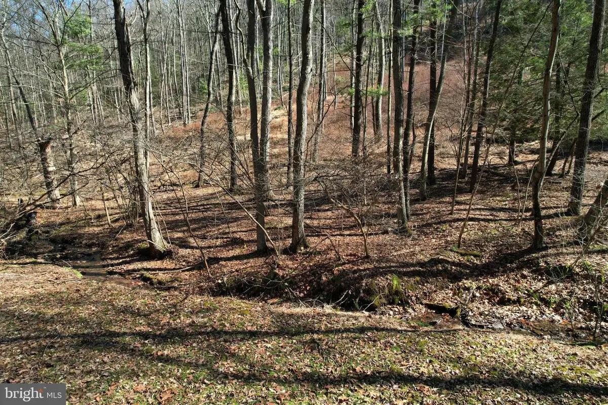 Lot On Camp Ln, State College, PA 16803 - #1
