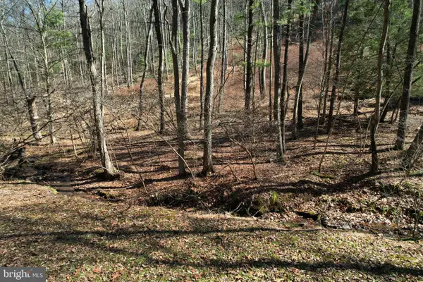 Lot On Camp Ln, STATE COLLEGE, PA 16803