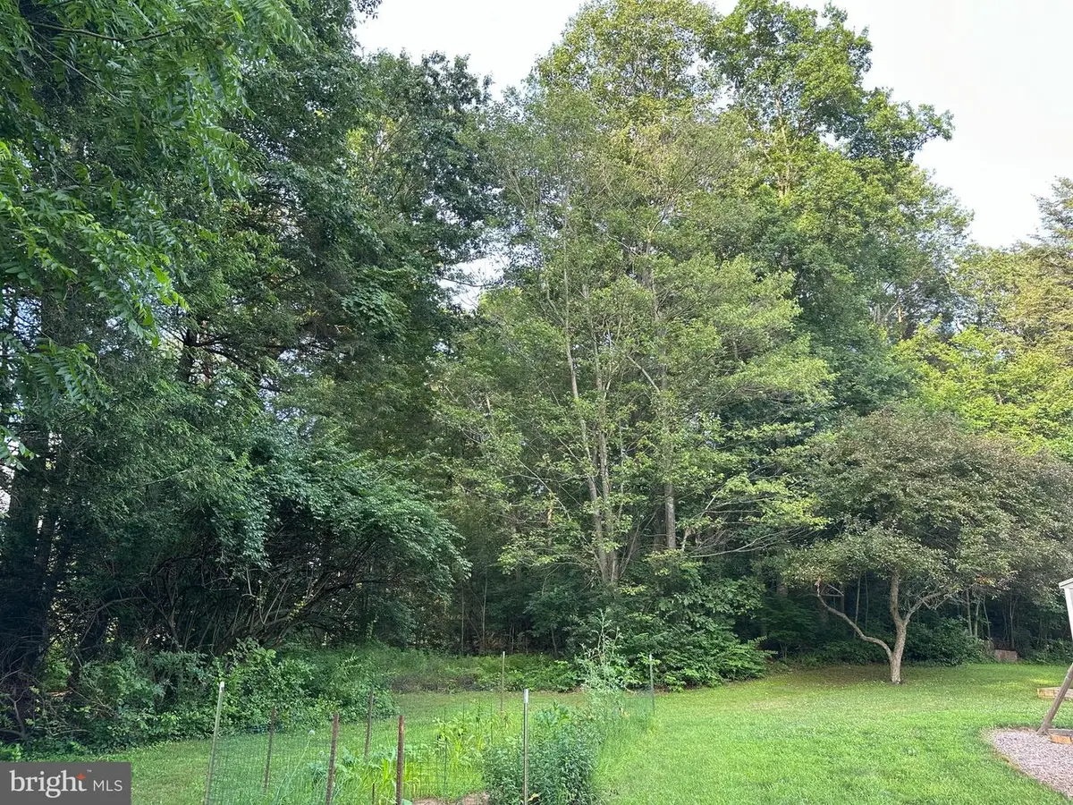 Tadpole Rd., Pennsylvania Furnace, PA 16865 - #1