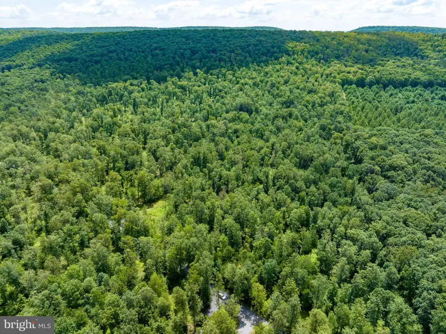 Lot 14 On Decker Valley Rd, Spring Mills, PA 16875 - #3