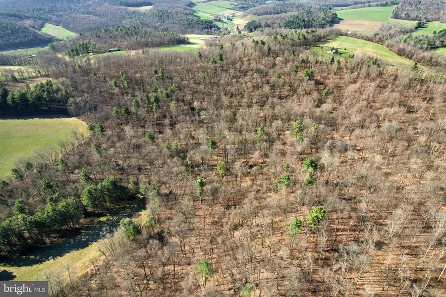 Lot On Circle Rd, Bellefonte, PA 16823 - #2