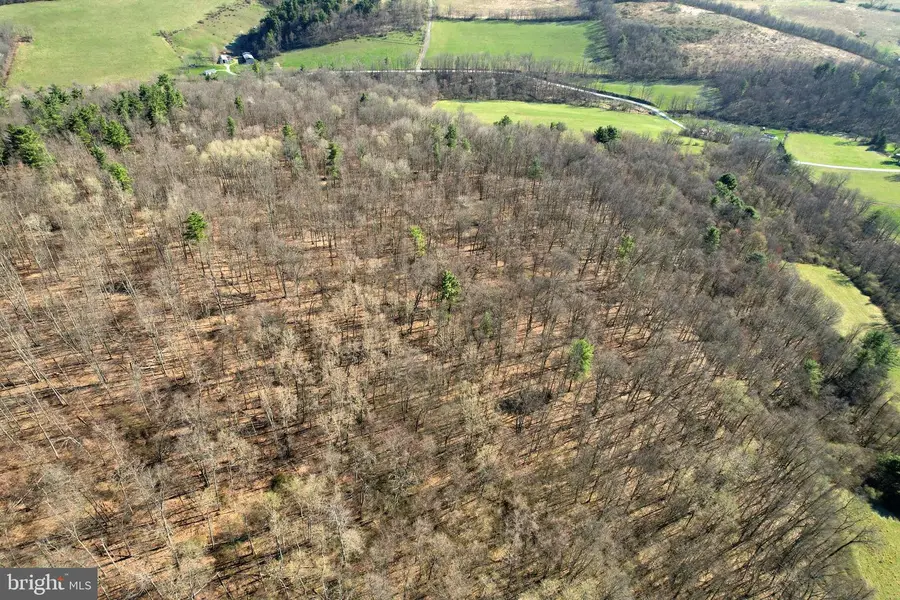 Lot On Circle Rd, Bellefonte, PA 16823 - #3