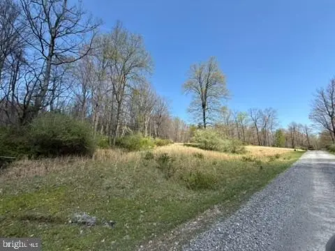 Lot On Dogwood Dr, Port Matilda, PA 16870 - #2