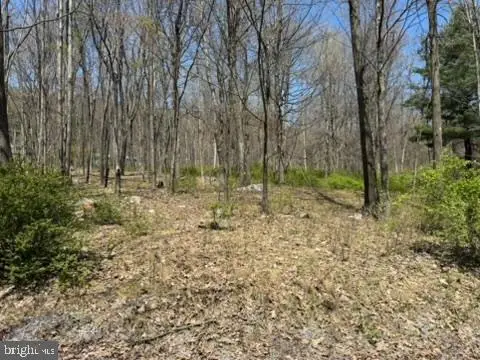 Lot On S Mountain Rd, Port Matilda, PA 16870 - #3