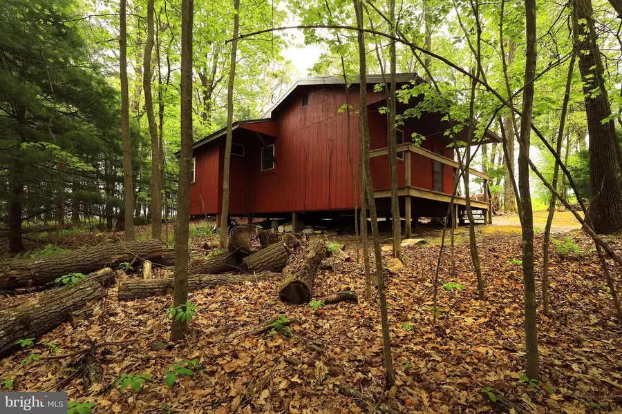 299 Snow Shoe Mountain Forest Rd, Snow Shoe, PA 16874 - #2