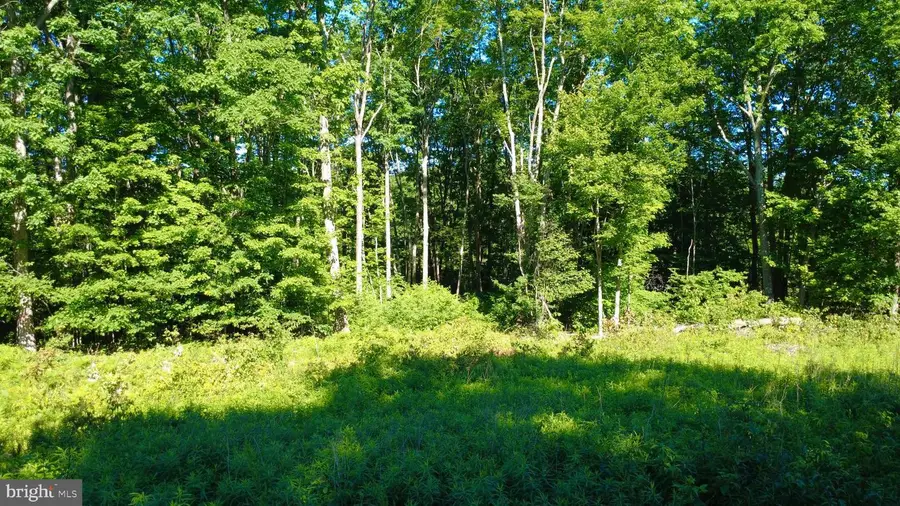 0 Maplewood Dr, Philipsburg, PA 16866 - #2