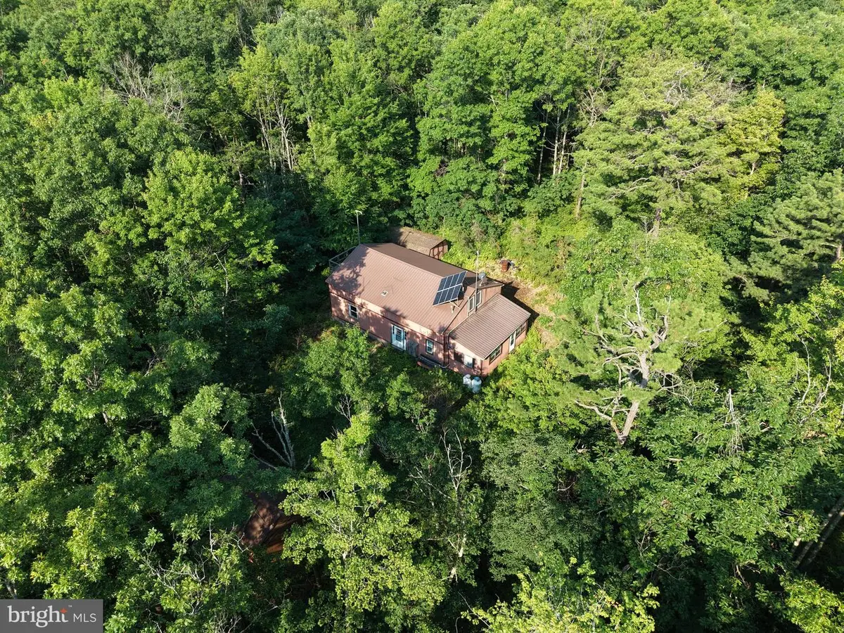 542 Eleven Rd, Clarence, PA 16829 - #1