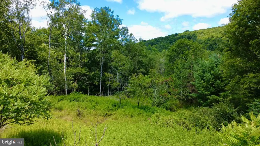 0 Pancake Rd, Clarence, PA 16829 - #2
