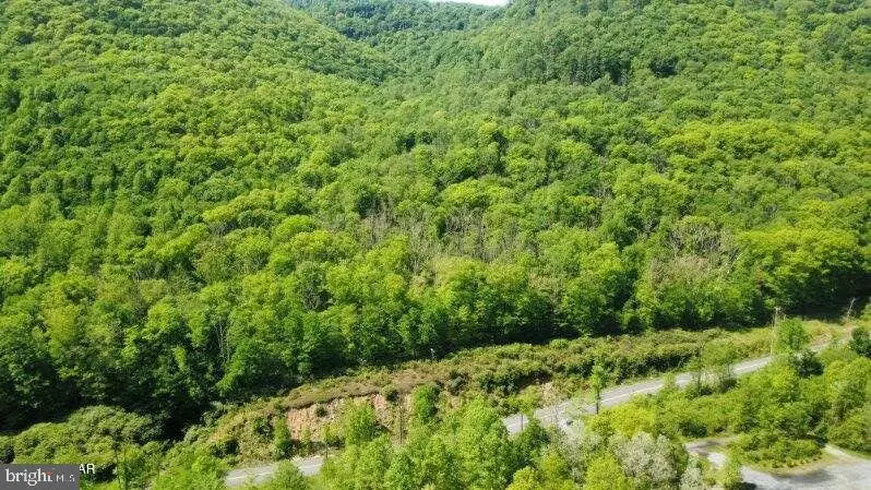 Parcel 007 Monument Orviston Rd, Beech Creek, PA 16822 - #1