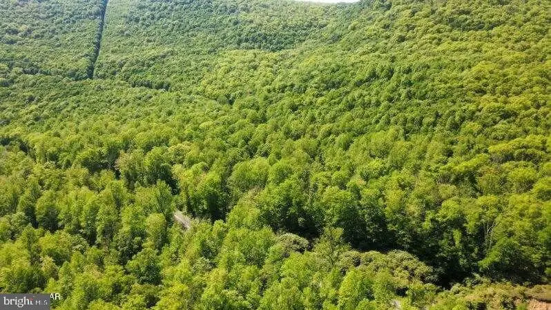 Parcel 007 Monument Orviston Rd, Beech Creek, PA 16822 - #2