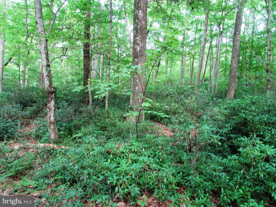 1765 Bear Meadows Rd, Boalsburg, PA 16827 - #2