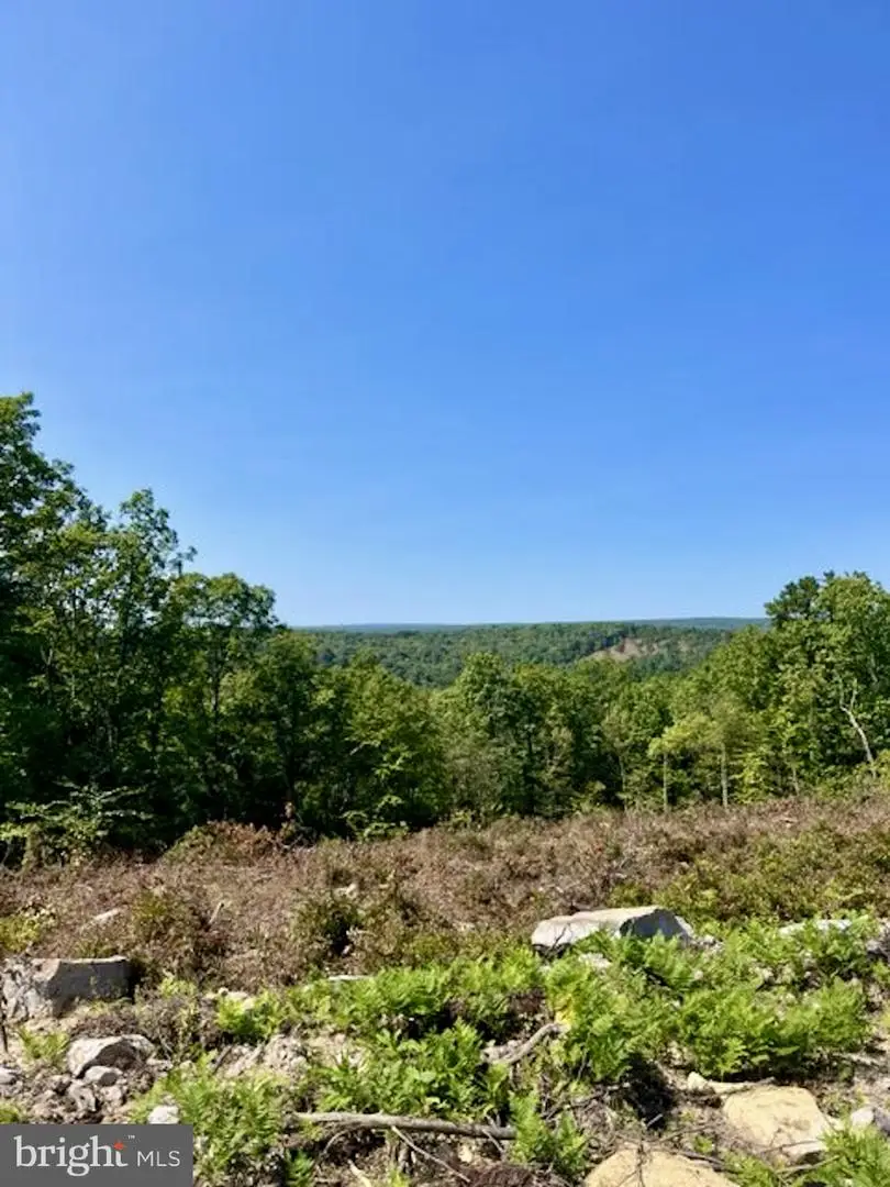 16 Beech Creek Mountain Rd, Beech Creek, PA 16822 - Image #3