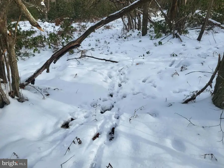 33 Black Bear Trl, Loganton, PA 17747 - Image #2