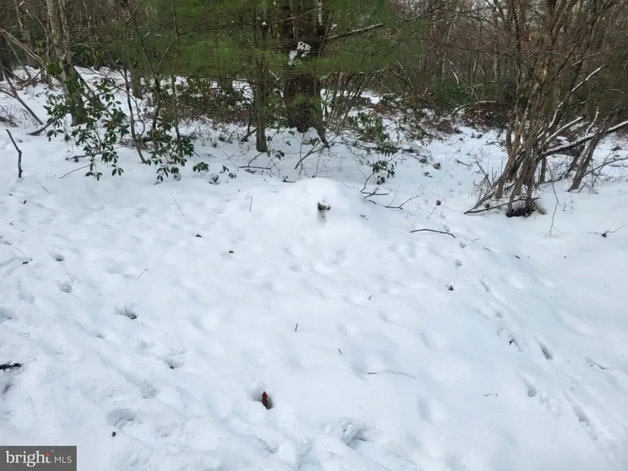 33 Black Bear Trl, Loganton, PA 17747 - Image #3