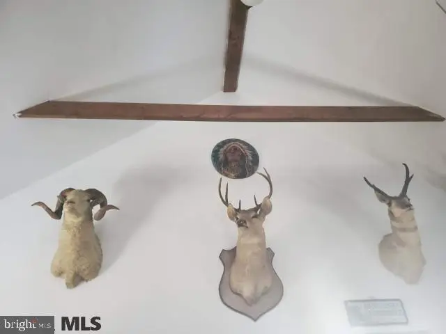 163 Hickory Ridge Rd, Mill Hall, PA 17751 - #3