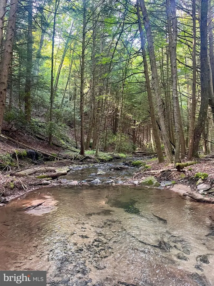 2600 Beech Creek Mountain Rd, Beech Creek, PA 16822 - #1