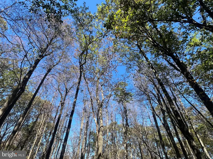 74 & 75 Elm Dr., Catawissa, PA 17820 - Image #2