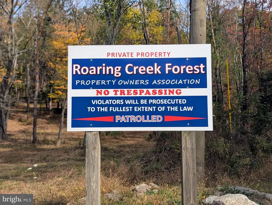 7 Community Pond Drive, Catawissa, PA 17820 - Image #2