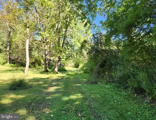 Lot #1 Whitcomb Subdivision, Driftwood, PA 15832 - #3
